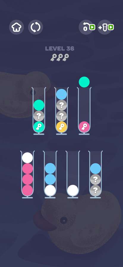Bubble Sort Puzzlesios版4
