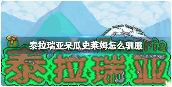 泰拉瑞亚呆瓜史莱姆怎么驯服 有关呆瓜史莱姆宠物的驯服攻略