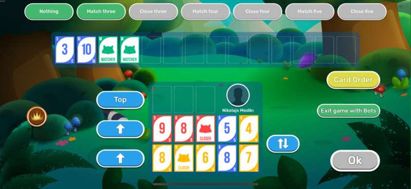 Seven Raccoonsios版2