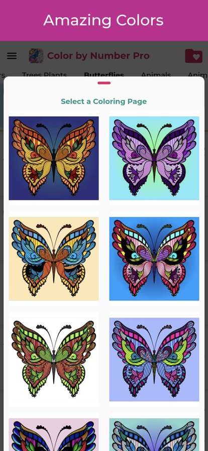 Coloring Book by Number Proios版4