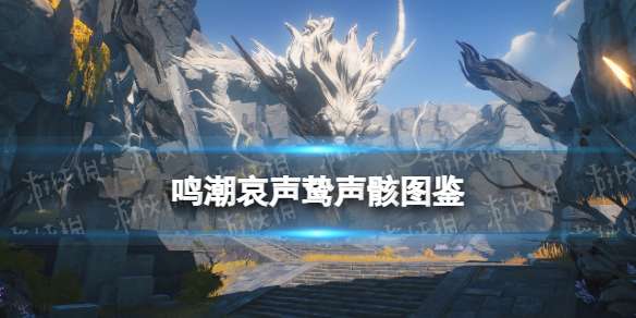 鸣潮哀声鸷声骸图鉴 鸣潮怒涛级声骸哀声鸷技能属性一览