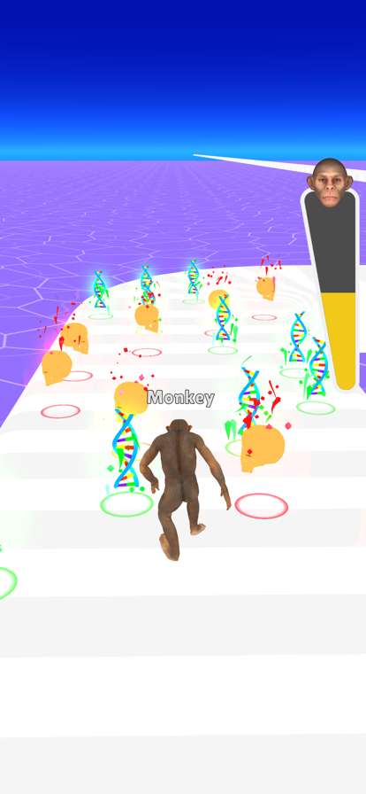 Evolution Quizios版5