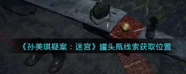 《孙美琪疑案：迷宫》五级线索——罐头瓶