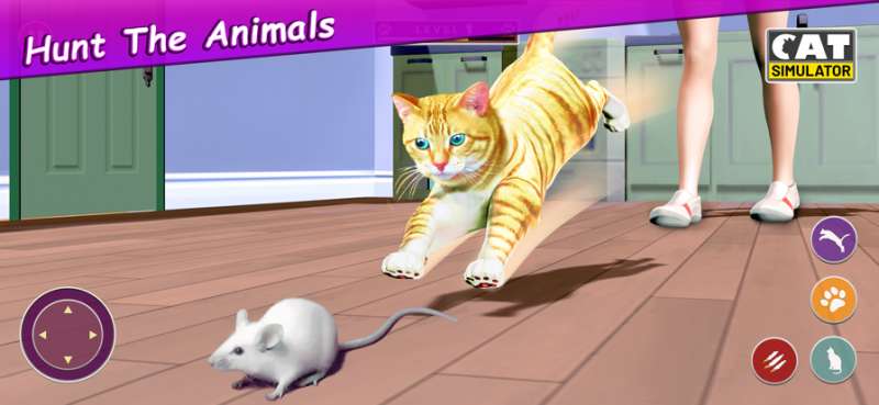 我的虚拟宠物猫ios版3