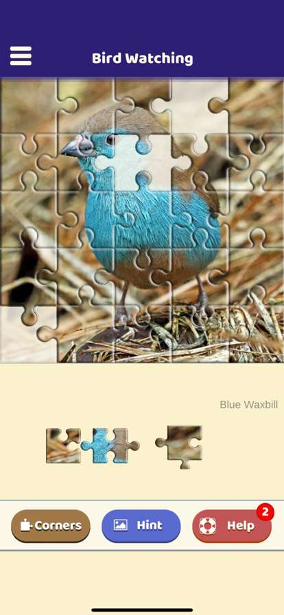 Bird Watching Puzzleios版2