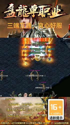 盘龙单职业最新版0