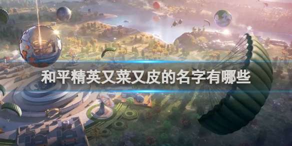和平精英又菜又皮的名字有哪些 和平精英又菜又皮的名字一览