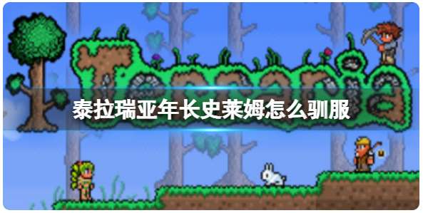 泰拉瑞亚年长史莱姆怎么驯服 关于年长史莱姆的驯服条件一览