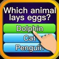 Trivia Millionaire All Starsios版