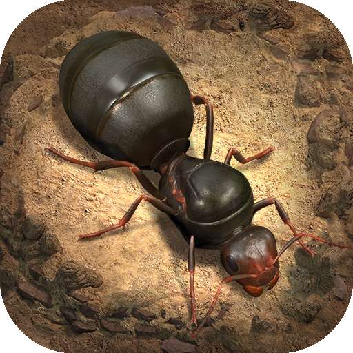 小小蚁国（无垠荒野）