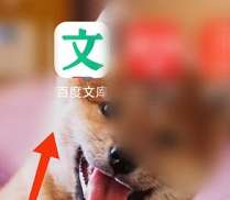 百度文库如何查看文库币数量-百度文库查看文库币数量的方法