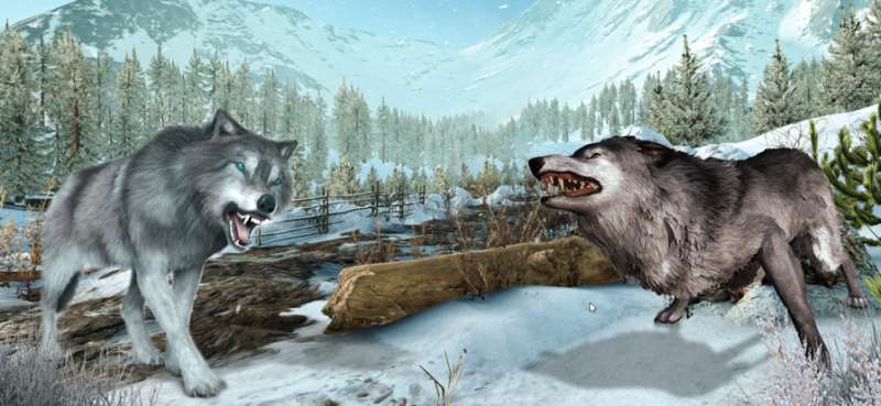 野狼 3d 动物模拟器ios版4