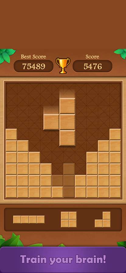Wood Block Puzzle Game 2022ios版5