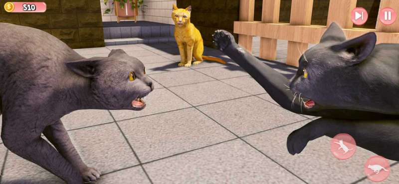 我的宠物猫岛模拟器 3dios版3