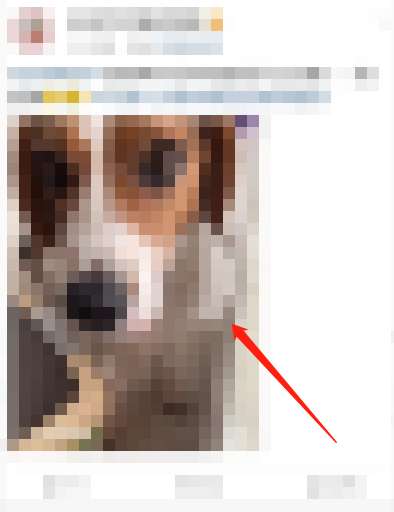 微博如何关闭动态视频封面-微博关闭动态视频封面方法