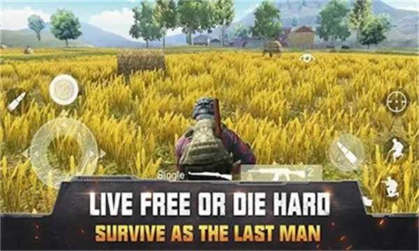 生存小队联机版1