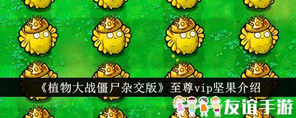 植物大战僵尸杂交版至尊vip坚果介绍