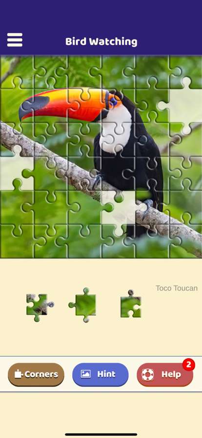 Bird Watching Puzzleios版3