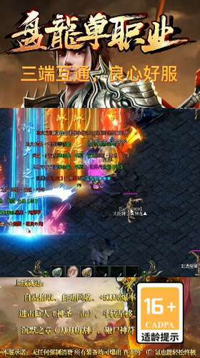 盘龙单职业最新版1