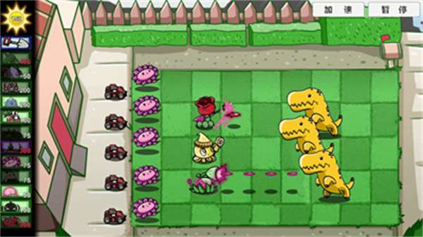 新植物僵尸大战1