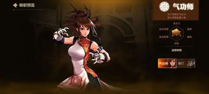 dnf手游女格斗转职攻略,女格斗转职职业推荐