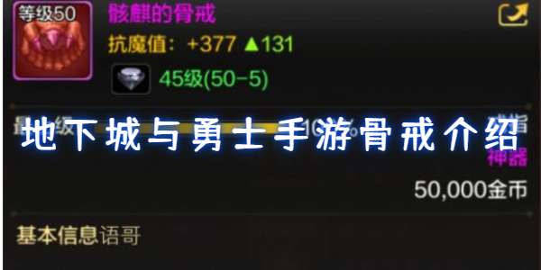 地下城与勇士手游骨戒介绍