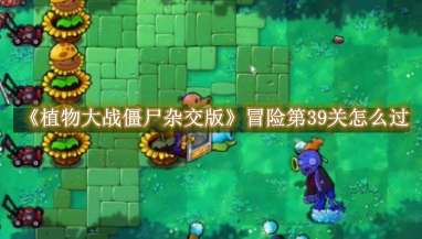 《植物大战僵尸杂交版》冒险第39关怎么过