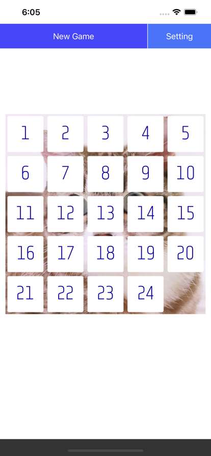 Twenty Five Puzzleios版0