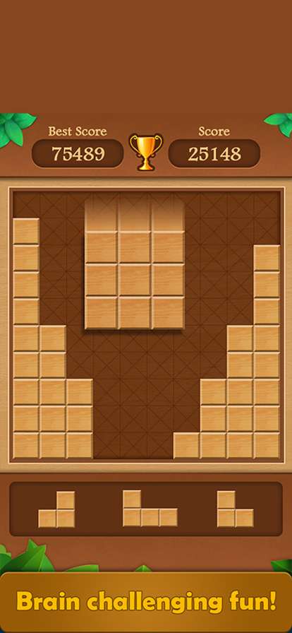 Wood Block Puzzle Game 2022ios版2