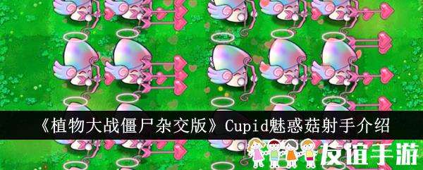 植物大战僵尸杂交版Cupid魅惑菇射手介绍