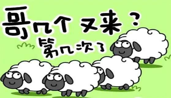 羊了个羊2.3攻略 羊了个羊2023年2月3日每日一关通关攻略