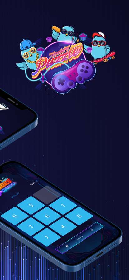 Timebird Puzzleios版2