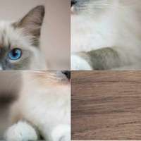 Slide Unblock Escape Thinkingios版