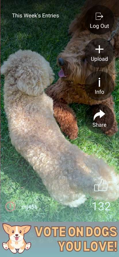 PrimeTime Dog Clubios版2