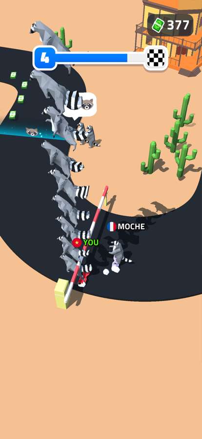 Racoon Racing 3Dios版7