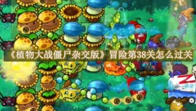 《植物大战僵尸杂交版》冒险第38关怎么过关