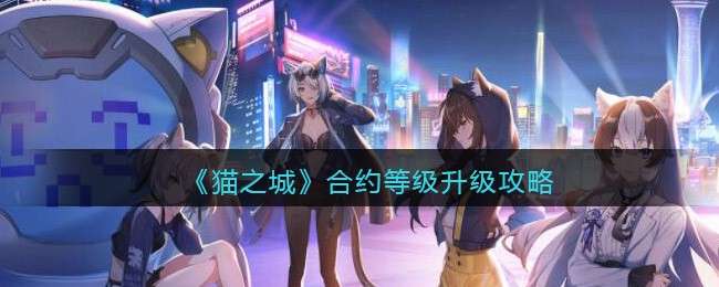 《猫之城》合约等级升级攻略