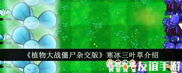 植物大战僵尸杂交版寒冰三叶草介绍