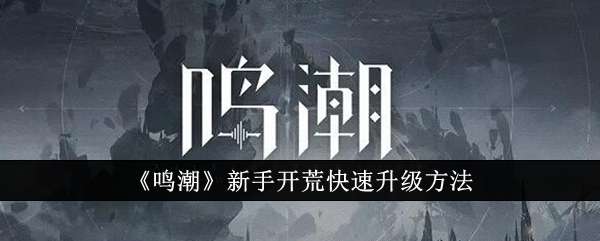 鸣潮新手开荒快速升级技巧一览