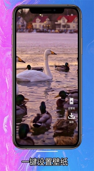 简单壁纸手机版0