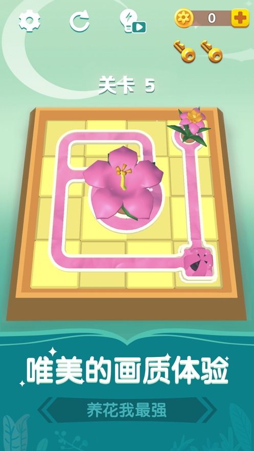 养花我最强ios版0