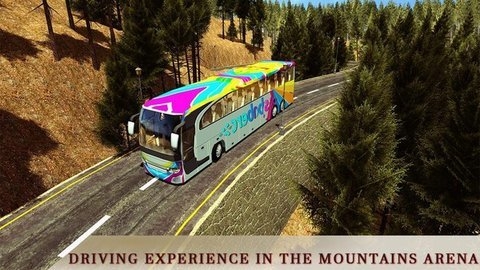 八重山巴士驾驶2