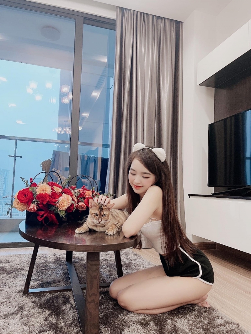 vpswindows野外直播2