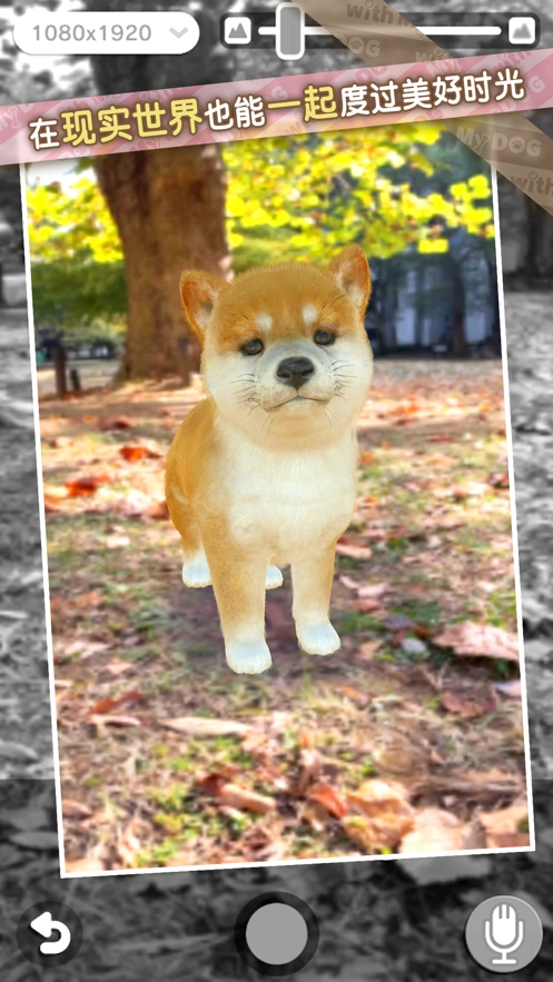 我的梦中情狗ios版9