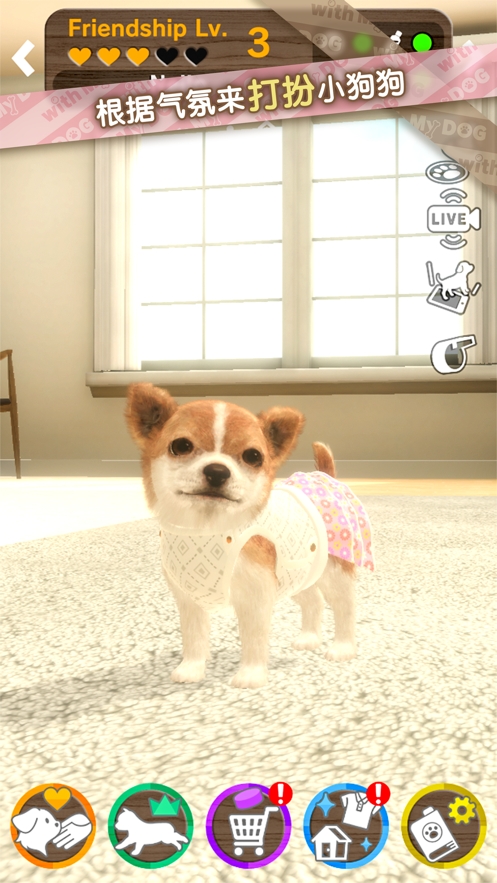 我的梦中情狗ios版4