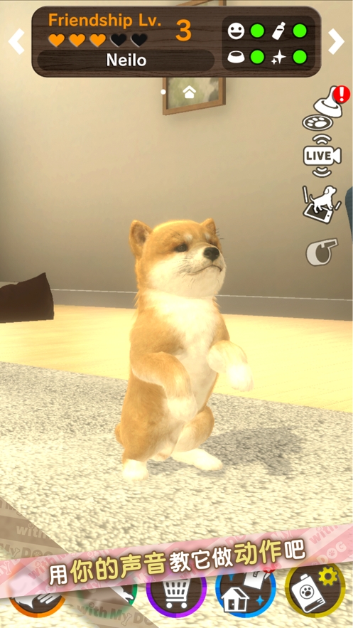 我的梦中情狗ios版8