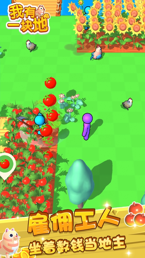 我有一块地ios版4