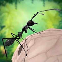 Ant Survival 3Dios版