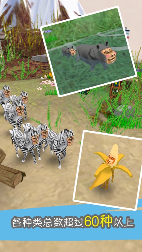 罕见生物的水族箱ios版3