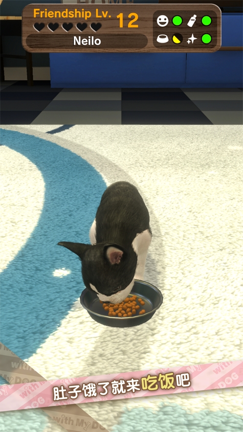 我的梦中情狗ios版6